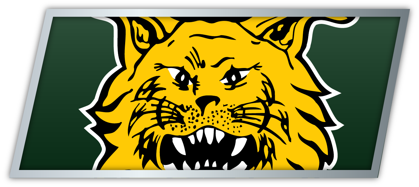 Ilves