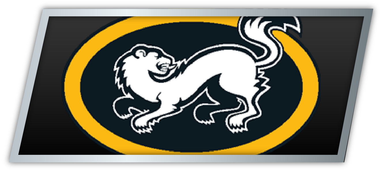 Kärpät