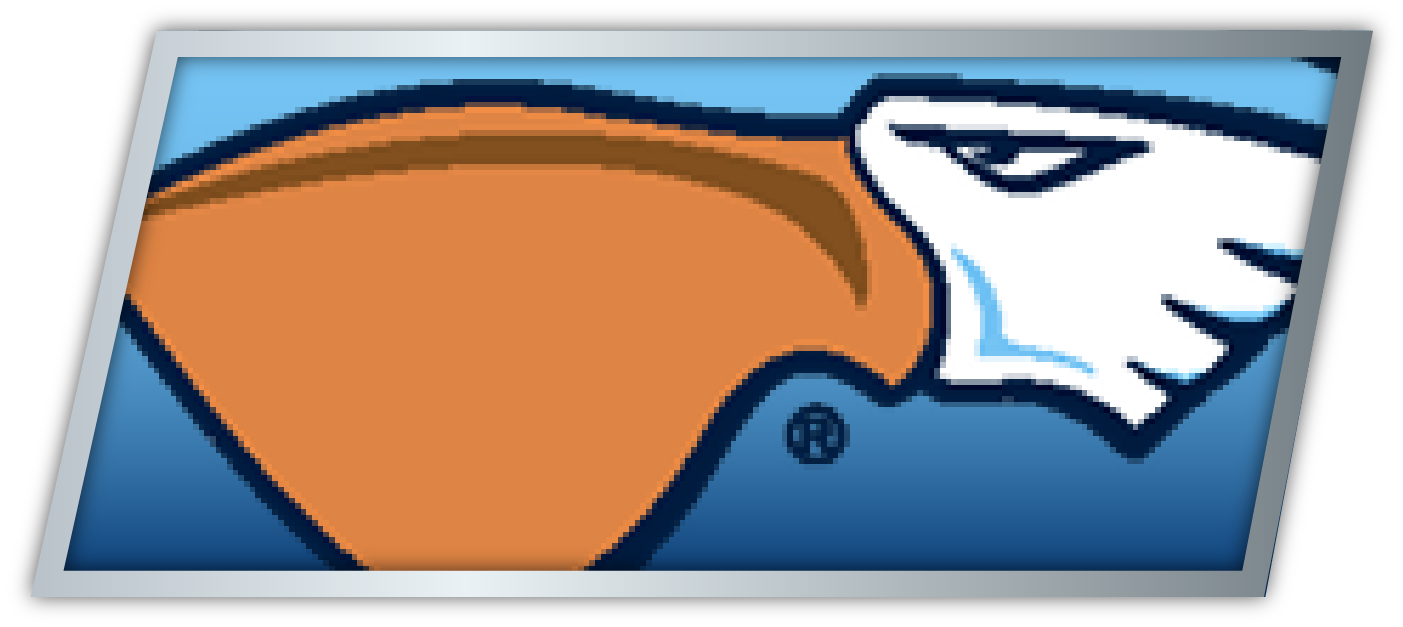 Pelicans