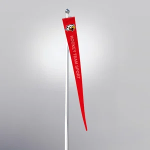 Isännänviiri